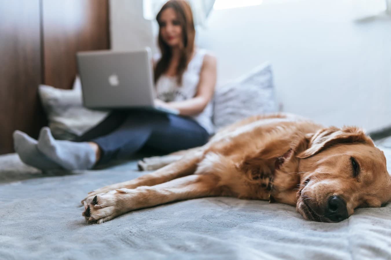 Woman enjoys online shopping with dog
