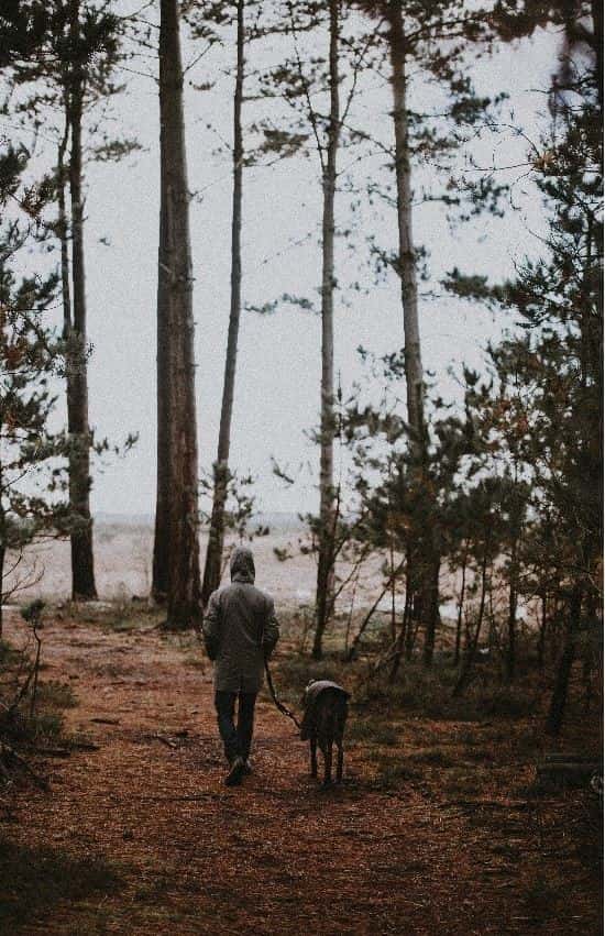Guy and dog walking in cold