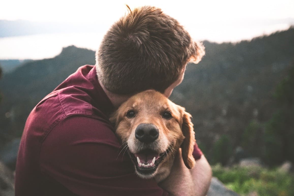 Man and dog hugging in mountain
