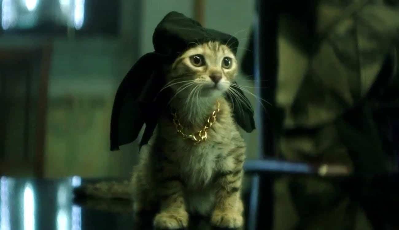 Keanu is a great action-comedy about a tough, yet adorable, kitten