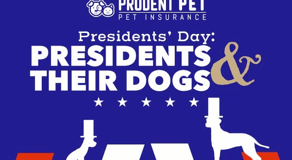 Presidents and their dogs