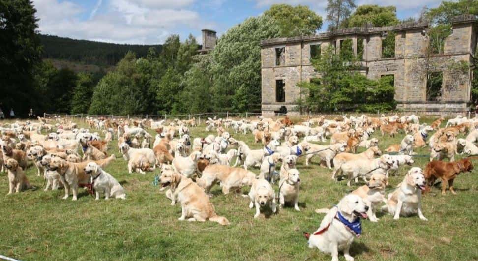 200 Goldens took place in the Scottish Highlands.