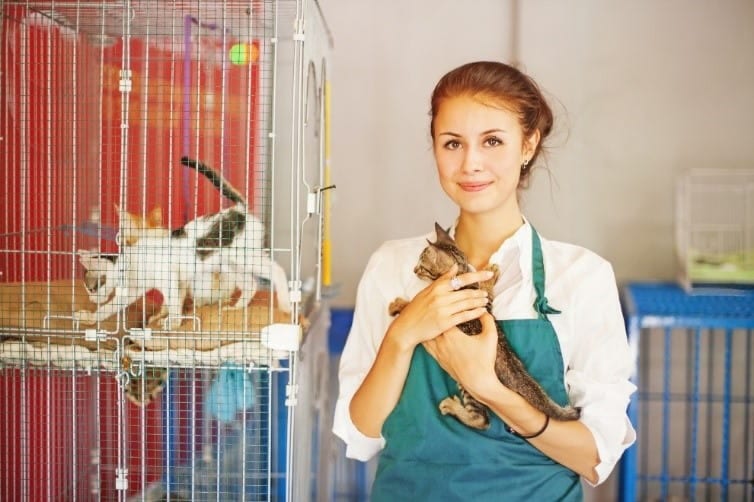 Woman holds a cat at a shelter