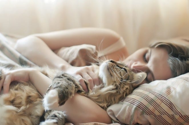 Cat and woman sleep in bed