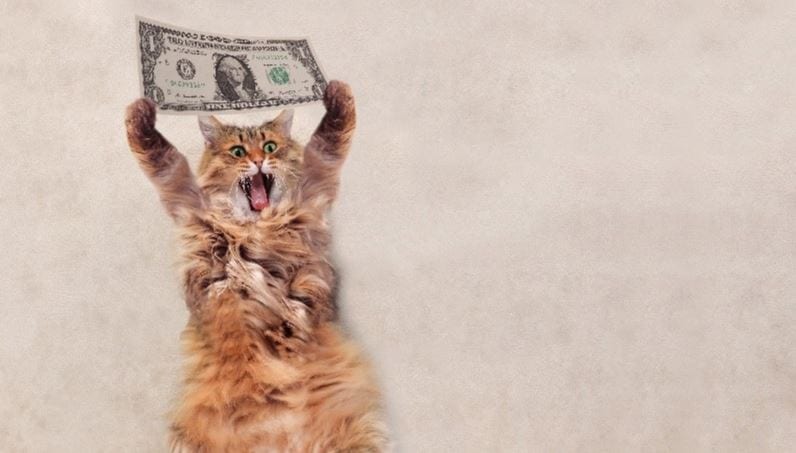 Cat holding a $1 bill