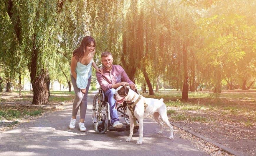 A family and guide dog at a park