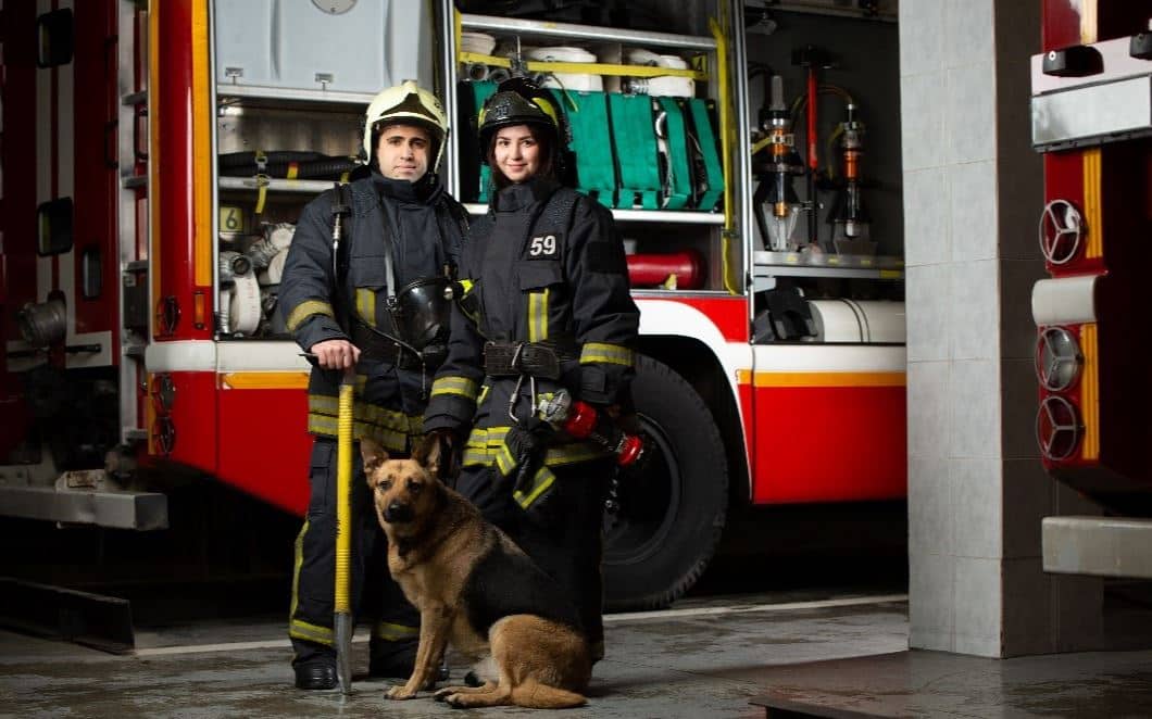 Firefighters dog in front of fire truck