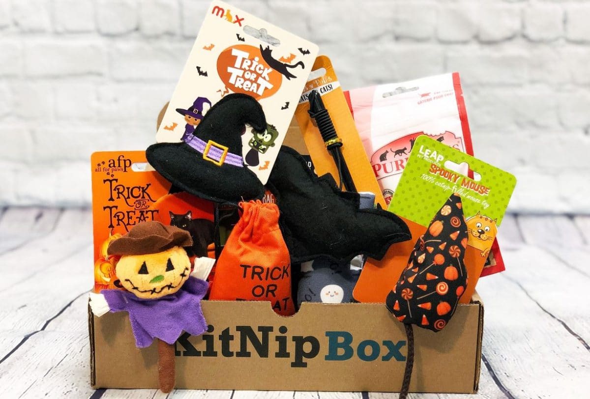 Halloween theme toys in KitNipBox