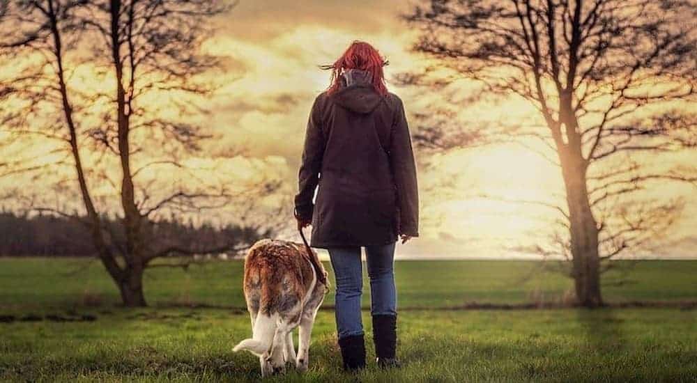 Woman walk with dog in the evening