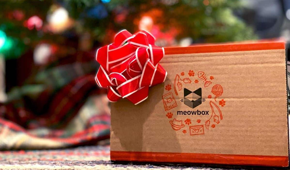 Meowbox holiday gift under Christmas tree