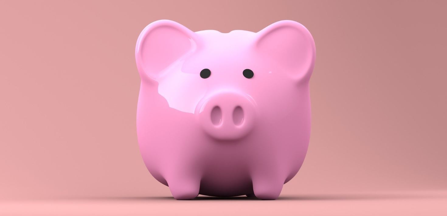 Pink piggy bank in pink background