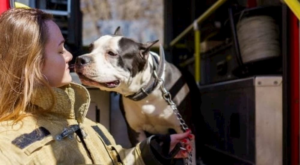 Firefighter and her dog