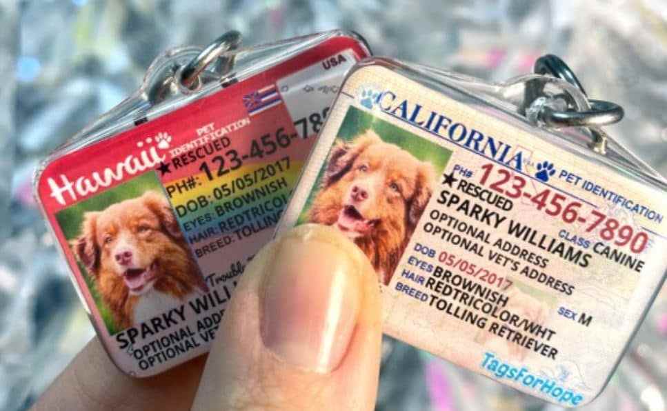2 ID of California and Hawaii
