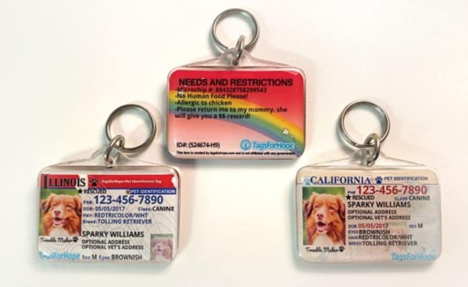 How Tags For Hope Saves Animal Lives - Prudent Pet Insurance