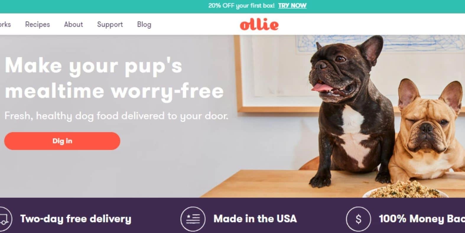 Prudent Pet chooses Ollie as the best pet food company 