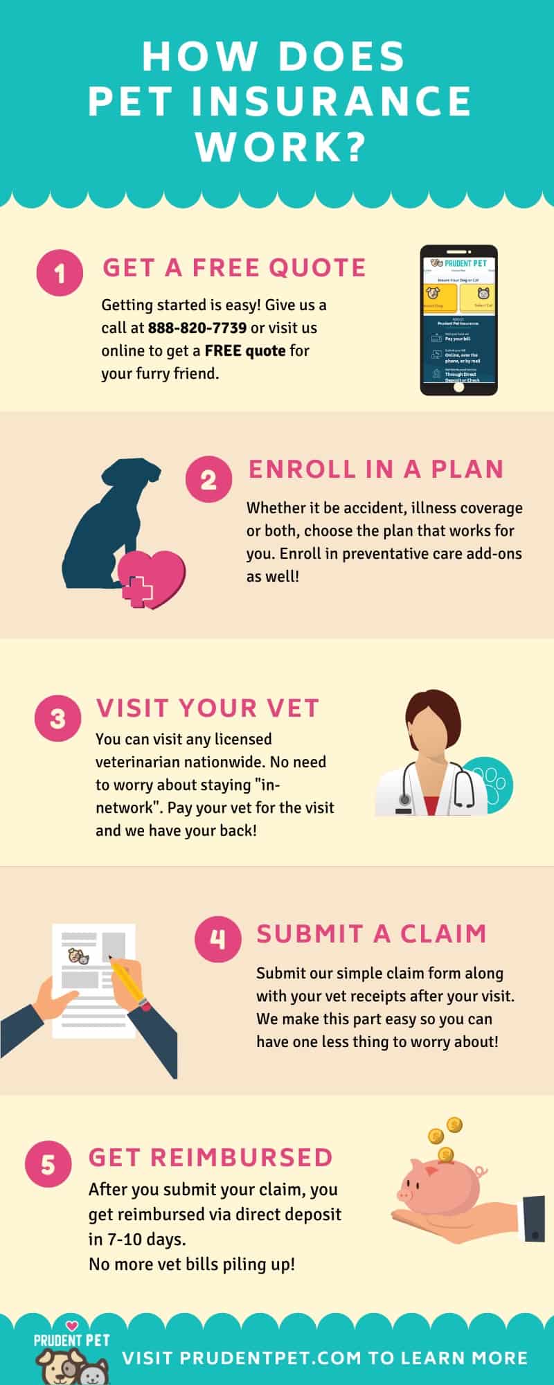 Infographic of how does pet insurance work from Prudent Pet
