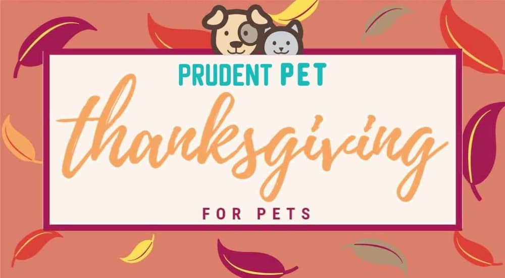 Thanksgiving for Pets banner from Prudent Pet