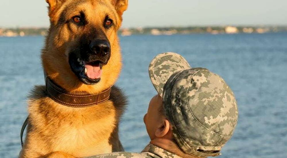 Dog and solider at the lake