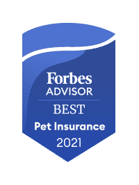 Forbes Best Pet Insurance
